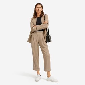 Everlane Put Together Pleat Pant